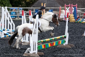 Class 3 -  Fences not above 2'3